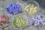 Fotoimpressionen Kurs Blüetenessenzen
