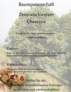 Flyer Kastanien-Baumpatenschaft. Für Infos bitte klicken.