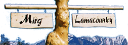 Lamacountry Logo, Lamacountry Schweiz, CH-Stalden OW